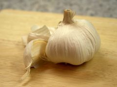 Garlic